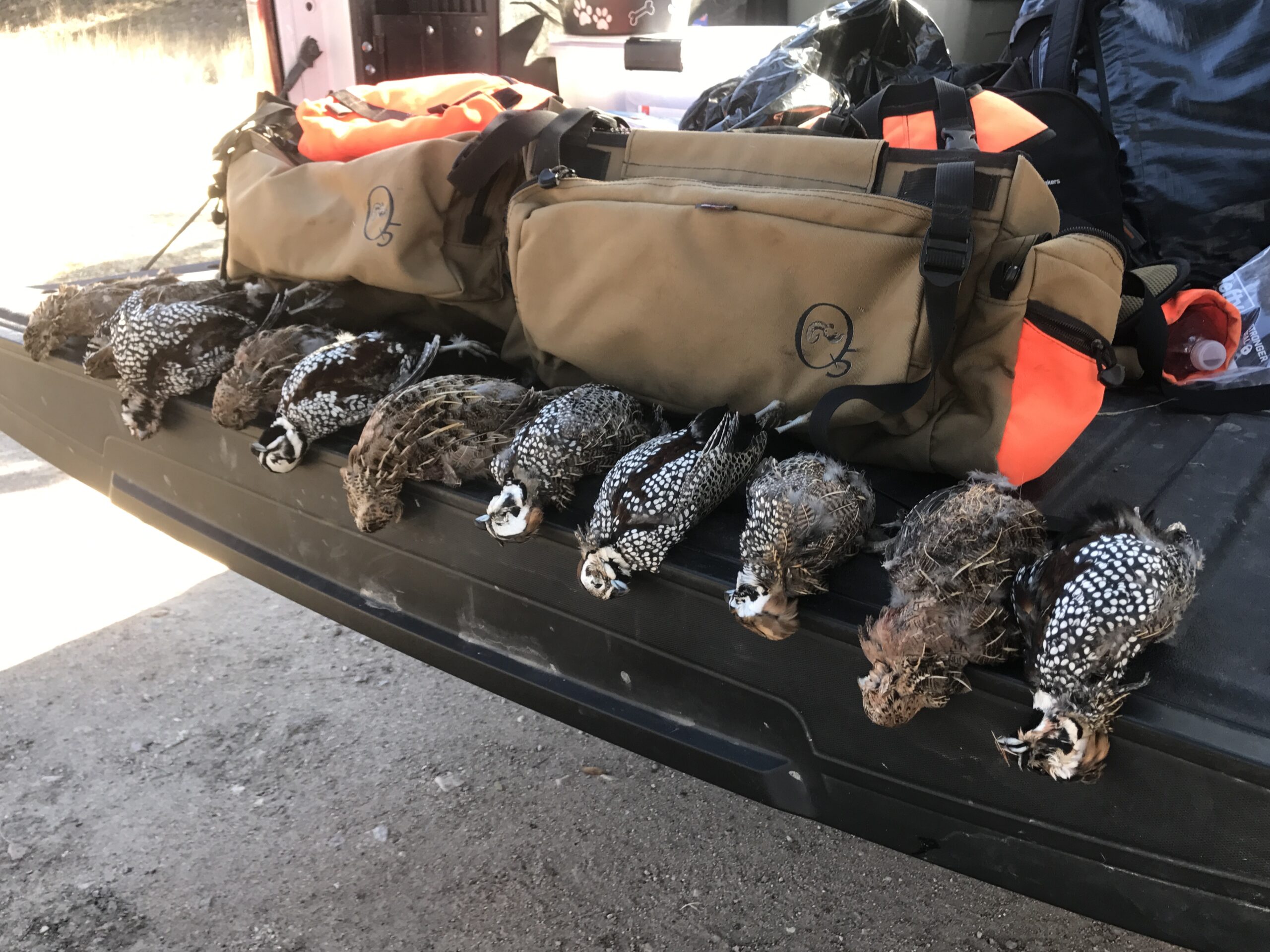 Contact Trout and Quail Outfitters captain jared nelson